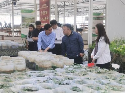 深入調(diào)研謀發(fā)展 院地合作促振興——花溪區(qū)委常委、組織部部長(zhǎng)張楠一行蒞臨我院調(diào)研座談